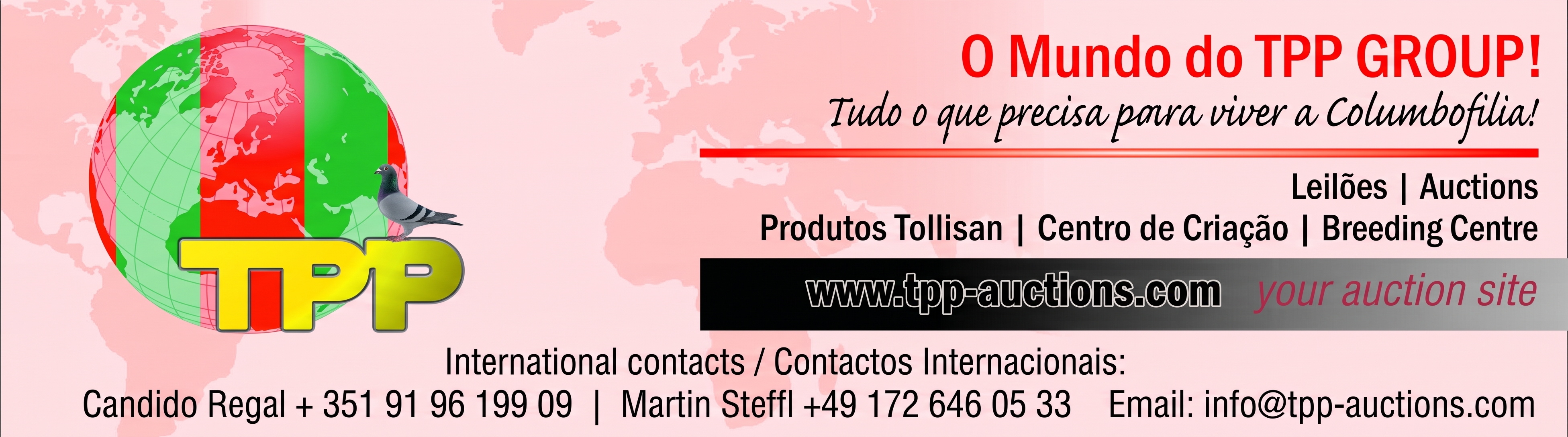 TPP-Auctions partner banner 7