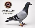 Especial Kanibaal - Jose Barbosa - PT  6247250-26 - F