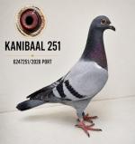 Especial Kanibaal - Jose Barbosa - PT 6247251-26 - M