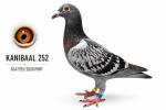 Especial Kanibaal - Jose Barbosa - PT 6247252-26 - F