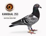 Especial Kanibaal - Jose Barbosa - PT 6247253-26 - M