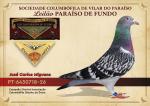 �vora 26 - PT-6430718-26 - Jos� Miguens