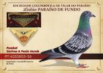 �vora 26 - PT 6253853-26 - Pombal Ourives & Paulo Morais