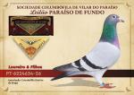 Braga 26 - PT-6224634-26 - Loureiro & Filhos