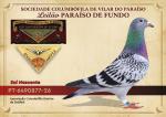 Set�bal 26 - PT 6490877-26 - Sol Nascente