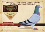 Coimbra 26 - PT-6349441-26 - Rodrigo Vicente
