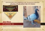 Porto 10 - PT 6112956-26 - Ana Risca