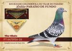 Nacional 26 - PT 6475956-26 - V�tor Ribeiro