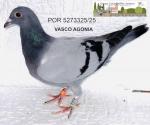 G.C. Limiano - PT 5273325-25 - Vasco Agonia