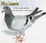 G.C. Limiano - PT 5445139-25 - Joo Adalberto & Snia Paula