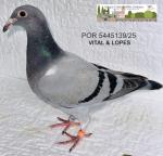 G.C. Limiano - PT 5445139-25 - Vital & Lopes