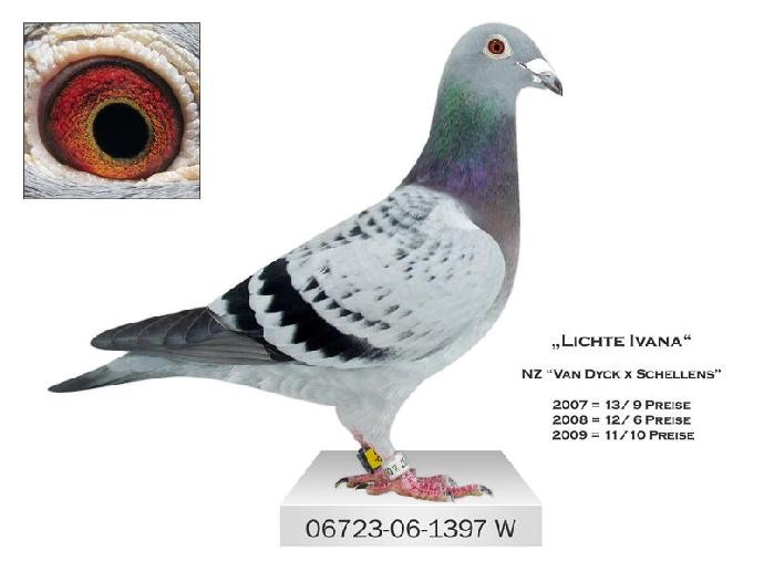 1397