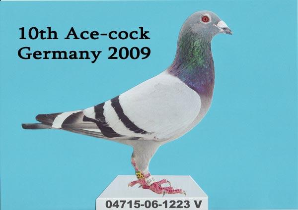 1223